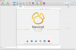 Navicat Premium 16.2.7激活(Navicat Windows 激活成功教程版教程，绿色安装版，附注册机，附激活教程)