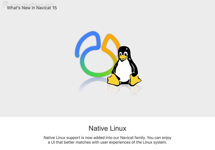 Navicat Premium 15.0.36激活(Navicat Premium 15 for Mac(数据库管理) v15.0.36中文免激活版)