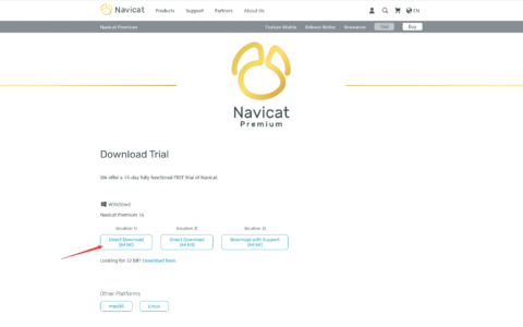 Navicat Premium 16.1.9激活(Navicat Premium 16.3.9激活激活成功教程2024-04最新永久教程)