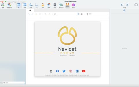 Navicat Premium 16.2.7激活(Navicat Premium for Mac(多连接数据库管理工具)16.1.3中文版)