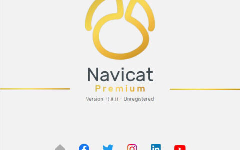 Navicat Premium 16.3.9激活(Navicat Premium16 V16.0.11 永久激活版)