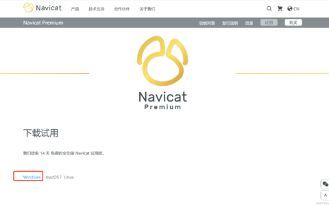 Navicat Premium 15.0.36激活(Windows下载Navicat Premium 16.0.x)