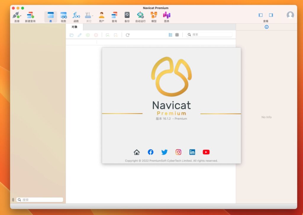 图片[1]-Navicat Premium v16.3.2 中文激活成功教程版 强大的数据库管理工具-Mac软件免费下载-Mac良选