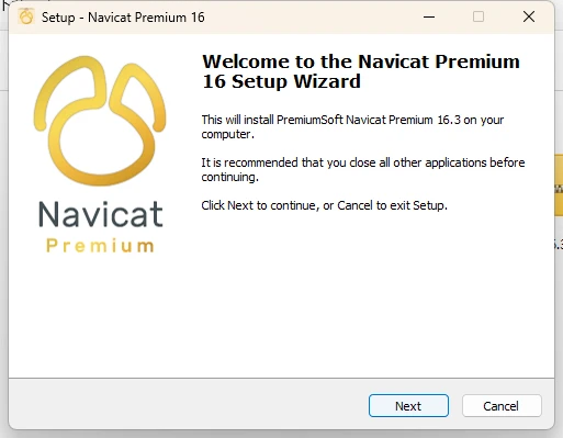 Navicat Premium 16.3.4激活(Navicat Premium 16.3激活激活成功教程2023-08最新永久教程（含windows+mac）)