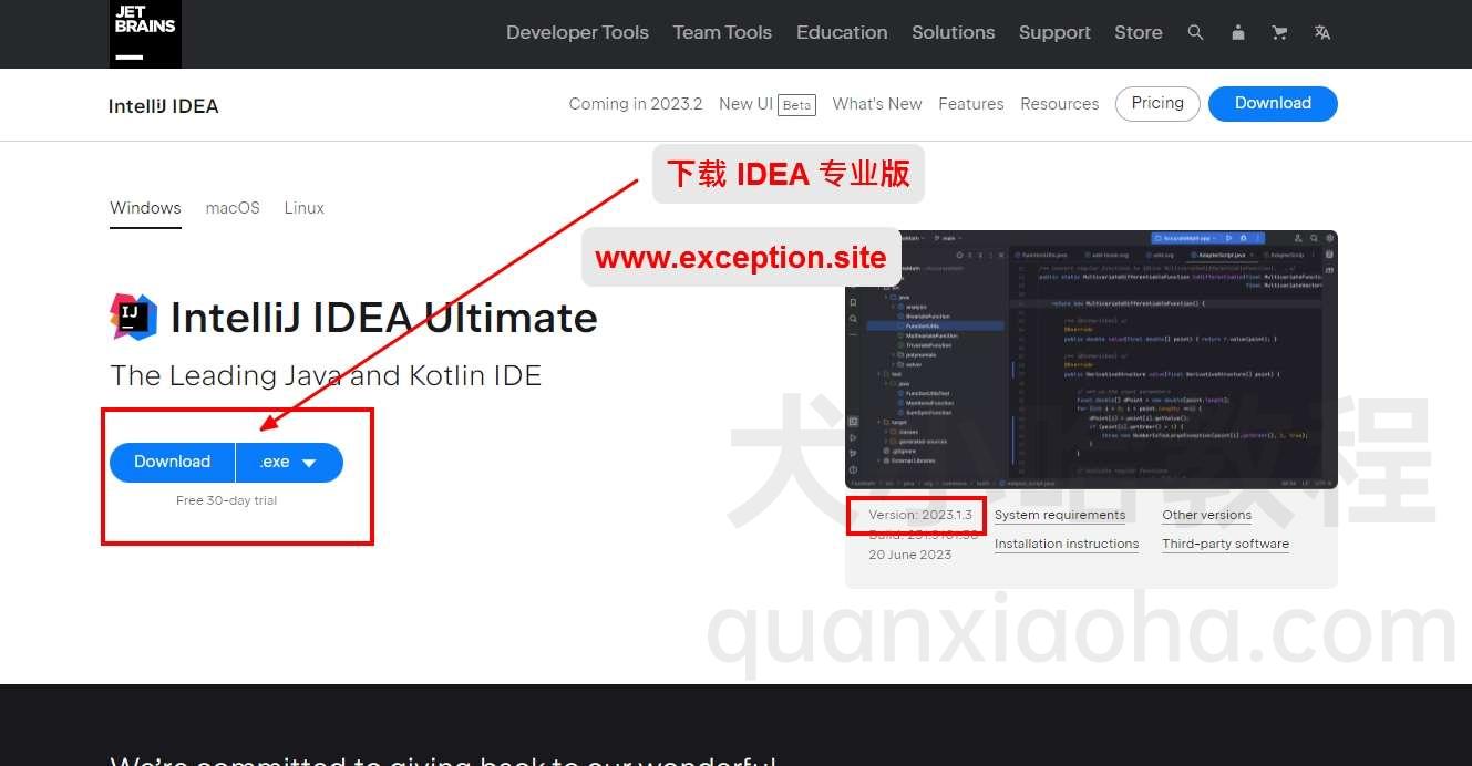 下载 IDEA 2023.1.3 安装包