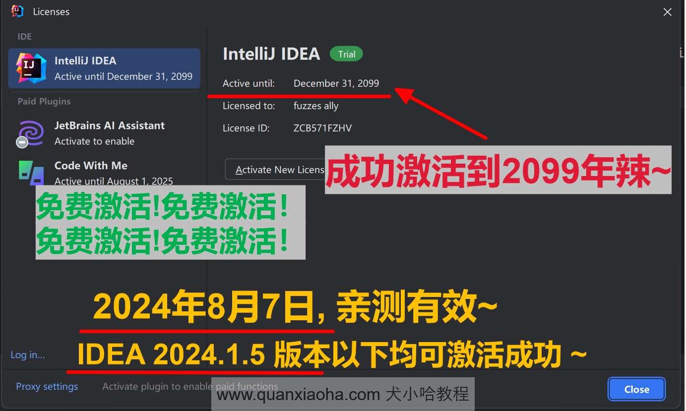 IDEA 2024.1.5 版本激活到 2099 年截图