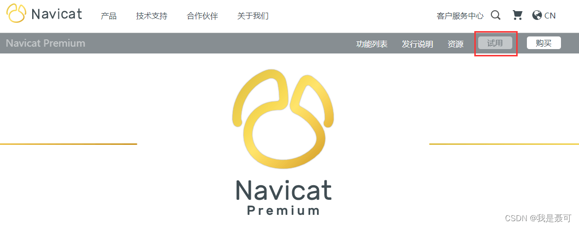 Navicat Premium 16 下載與安裝激活成功教程教程（詳細教程）