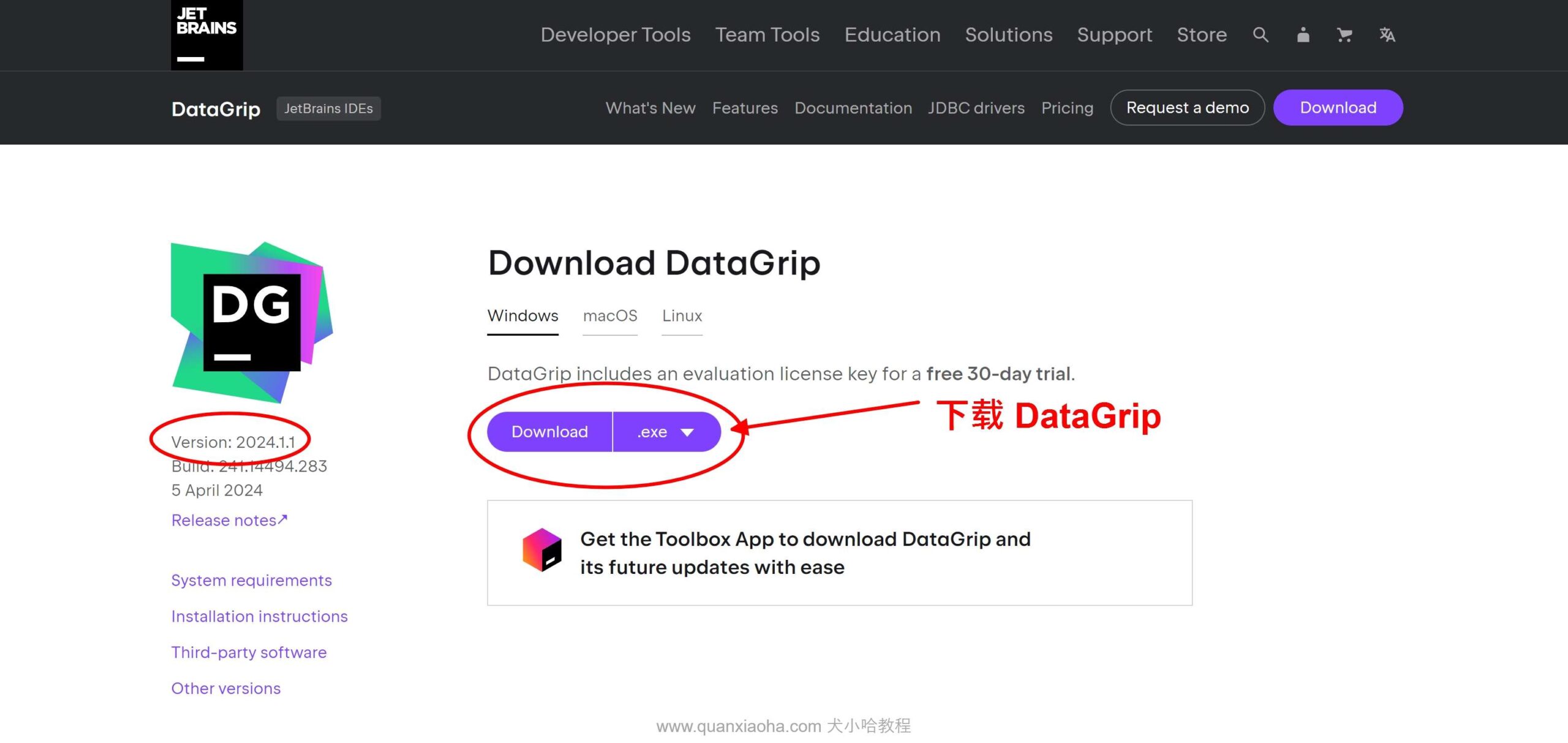 Datagrip 2024.1.1 版本官网下载