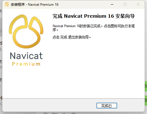 Navicat Premium 16.2.x最新激活激活成功教程教程来了(图10)