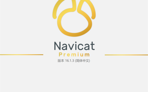 Navicat Premium 16.2.7激活(Navicat Premium 16 简体中文 （含激活工具）)