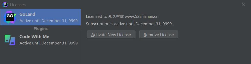 [免费] 2023  GoLand激活码，亲测有效，支持配置到永久插图