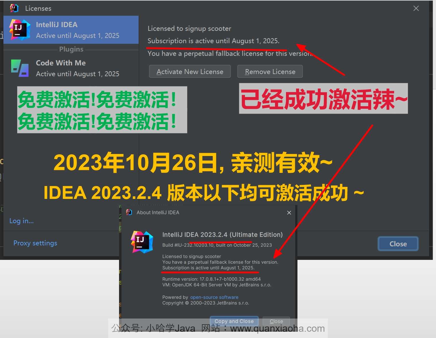 IDEA 2023.2.4 成功激活成功教程激活截图