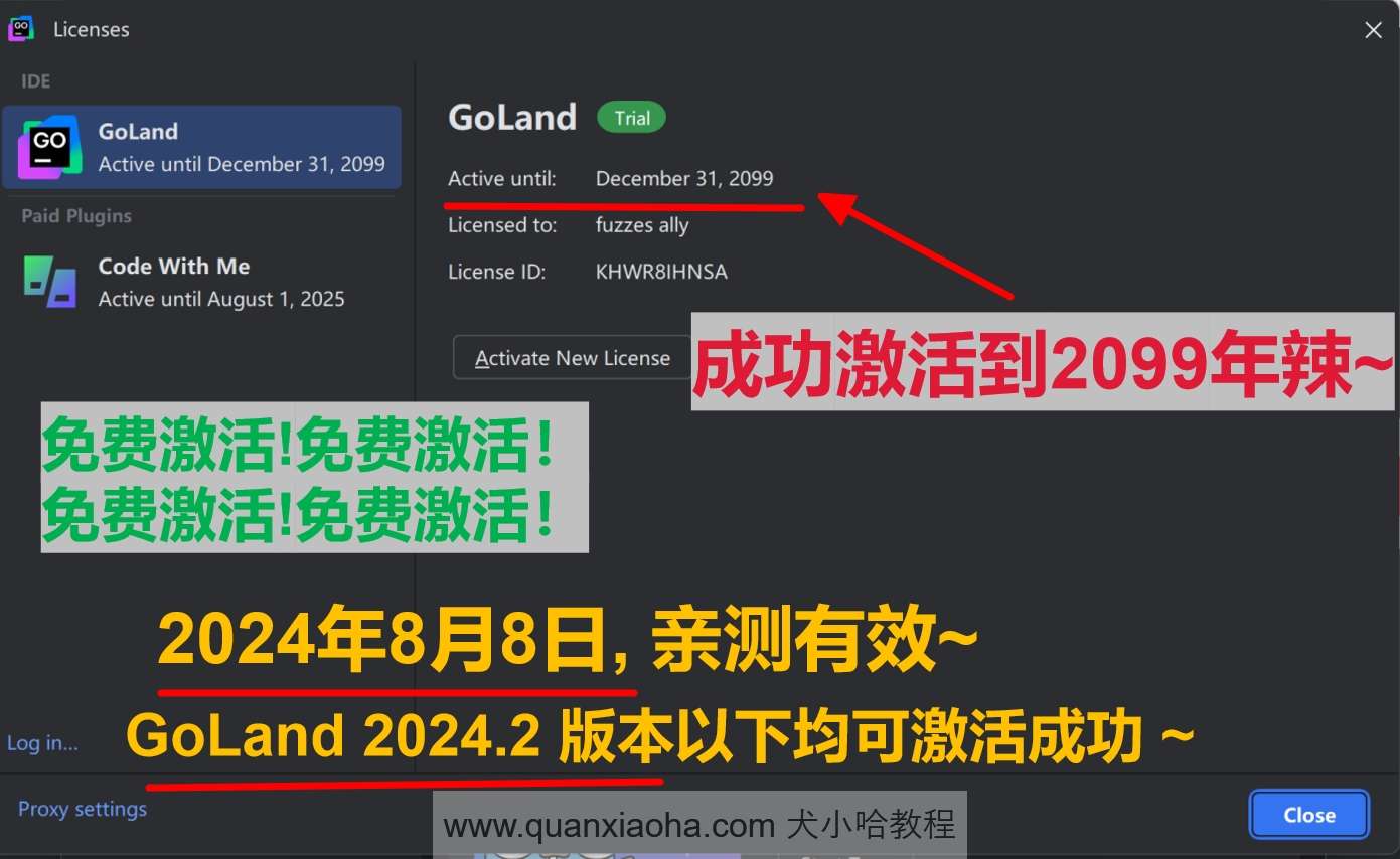 GoLand 2024.2 版本激活到 2099 年截图