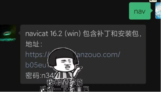 Navicat Premium 16.3.9激活(Navicat Premium 2024免费激活)