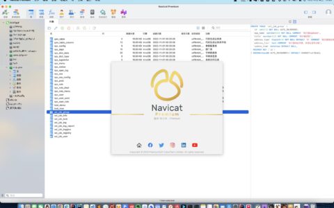 Navicat Premium 15.0.36激活(Mac 中文版 Navicat Premium 16 下载安装详细教程)