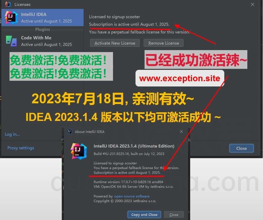 IDEA 2023.1.4 成功激活成功教程激活截图