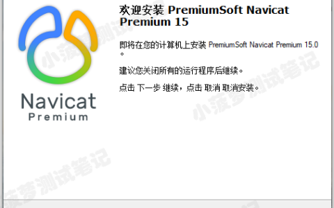 Navicat Premium 16.3.9激活(Navicat15 永久激活版教程)