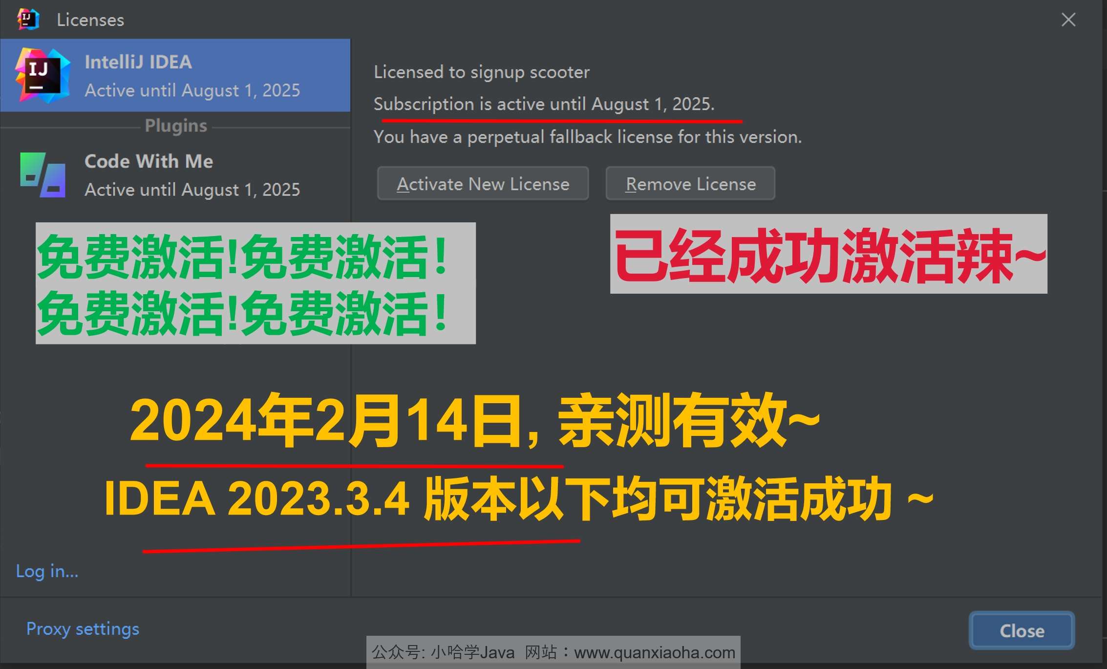 IDEA 2023.3.4 成功激活成功教程激活截图