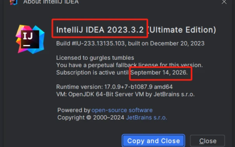 Idea2024.1.5激活码(IntelliJ IDEA2024激活成功教程最新最细指导教程)