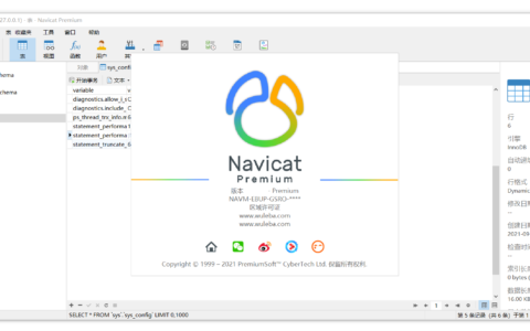 Navicat Premium 16.2.7激活(Navicat Premium 16.0.11.0 简体中文激活成功教程版（多重数据库管理工具）)