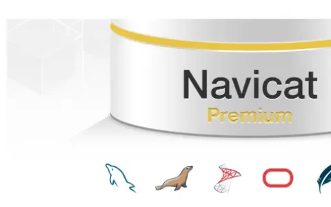 Navicat Premium 16.3.9激活(Navicat11全系列激活（注册机）)