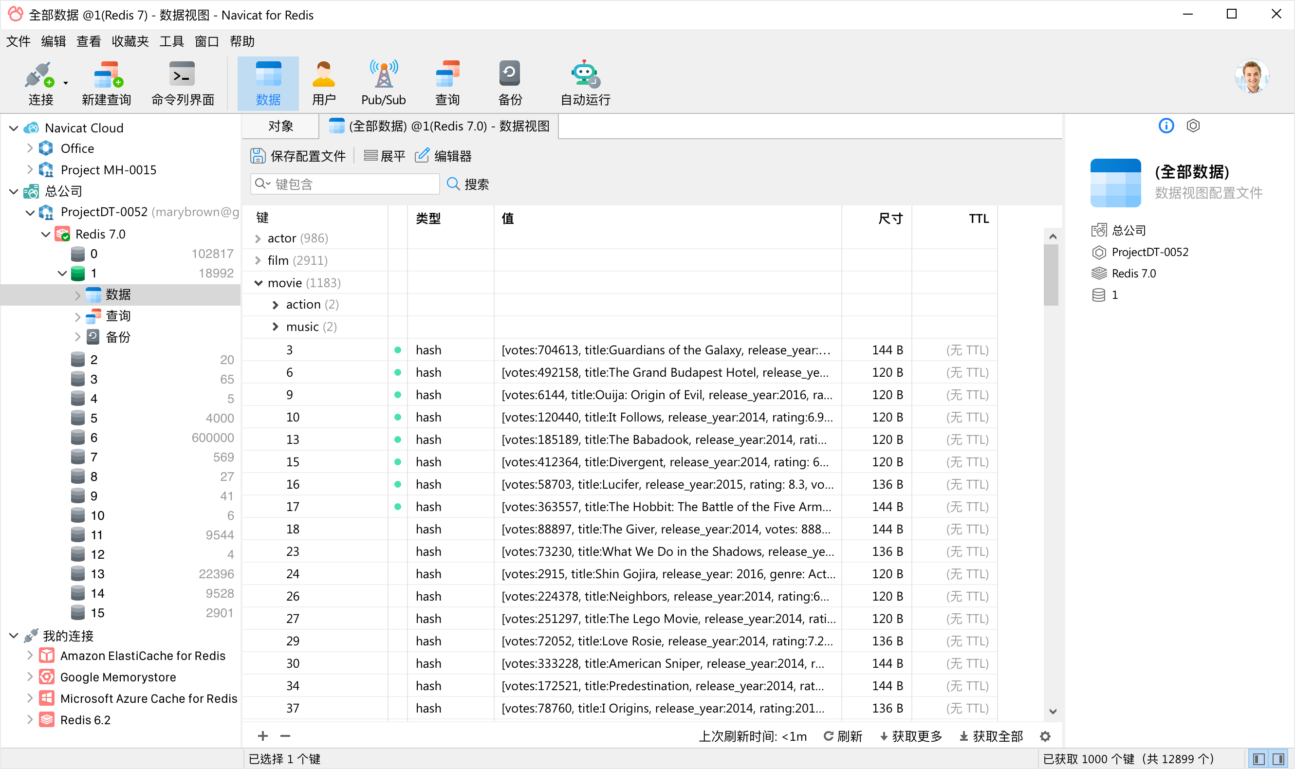 Navicat Premium 16.3.8(数据库管理工具最新激活成功教程版)