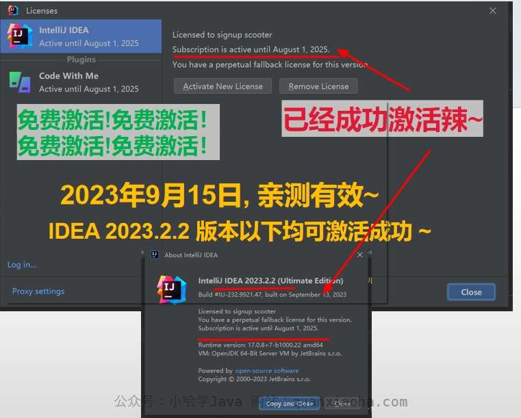 IDEA 2023.2.2 成功激活成功教程激活截图