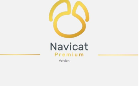 Navicat Premium 16.1.10激活(Navicat Premium16 V16.0.12 永久激活版)