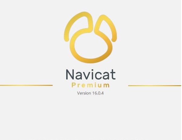 Navicat Premium 16.3.9激活(Navicat Premium16)