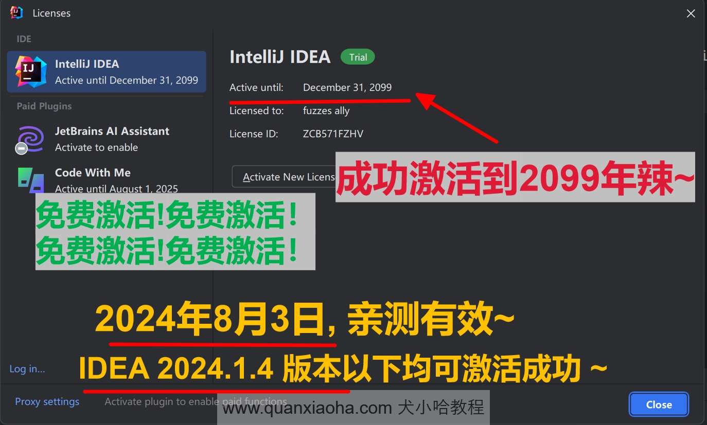 IDEA 2024.1.4 版本激活到 2099 年截图