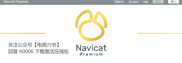 Navicat Premium 16.3.9激活(Navicat Premium 16最新版安装激活教程 亲测有效)