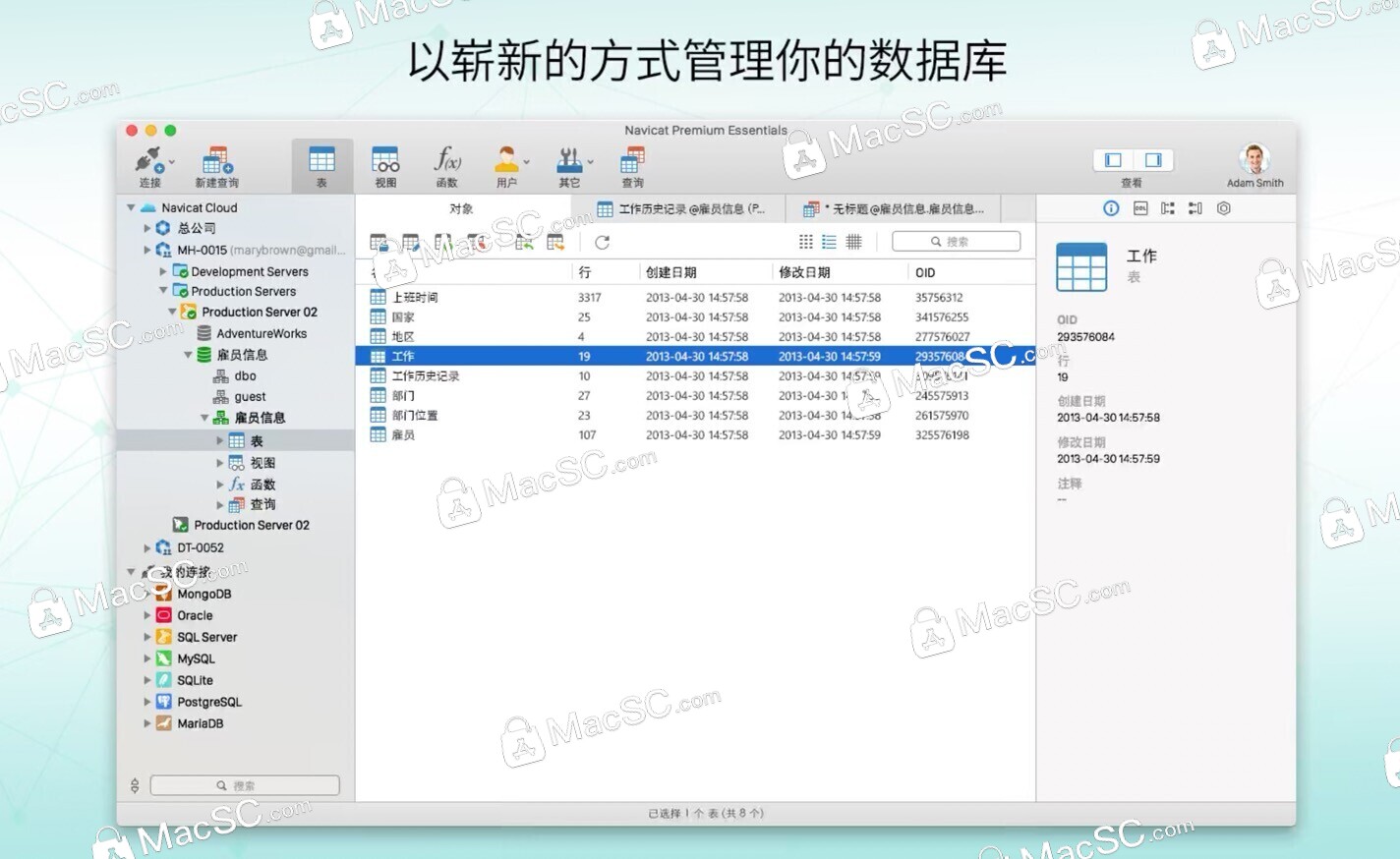 Navicat Premium 15.0.36激活(Navicat Premium 15 for Mac(数据库开发工具)v15.0.36中文激活版)