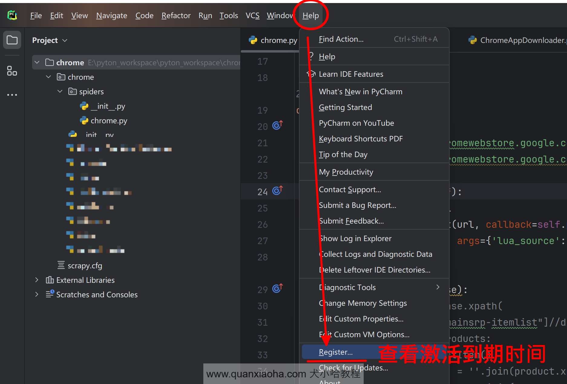 检查 Pycharm  2024.1.4 的到期时间