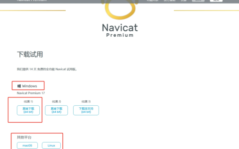 Navicat Premium 16.3.9激活(Navicat 16、17激活激活成功教程永久教程（2024-5最新）（含windows+Mac激活）)