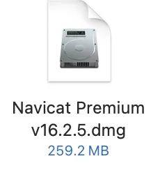 Navicat Premium 16.2.2激活(Navicat Premium 16.2最新激活教程，永久使用来了（mac版）)