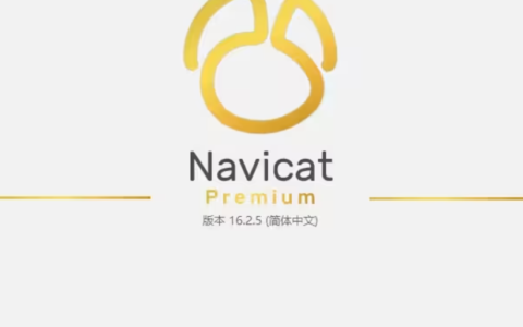 Navicat Premium 16.2.2激活(Navicat Premium 16.2最新激活教程，永久使用来了（mac版）)