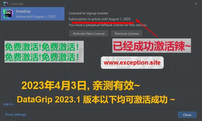 Datagrip 2023.1 版本启动界面