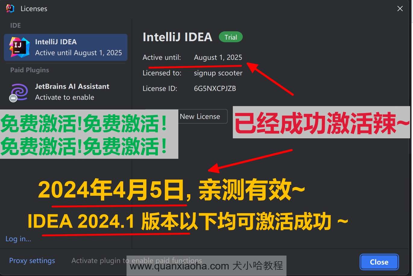 IDEA 2024.1 成功激活成功教程激活截图