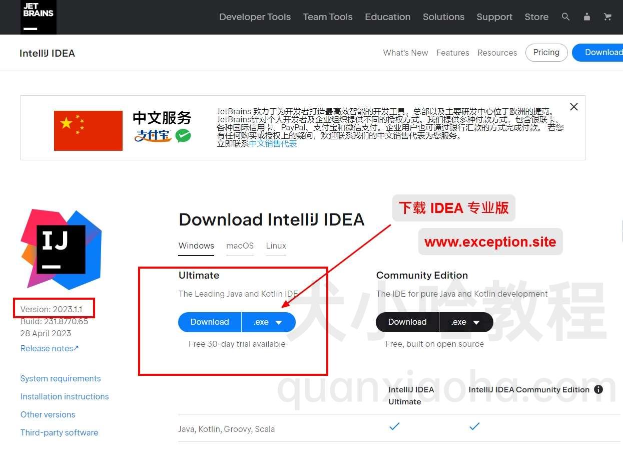 下载 IDEA 2023.1.1 安装包