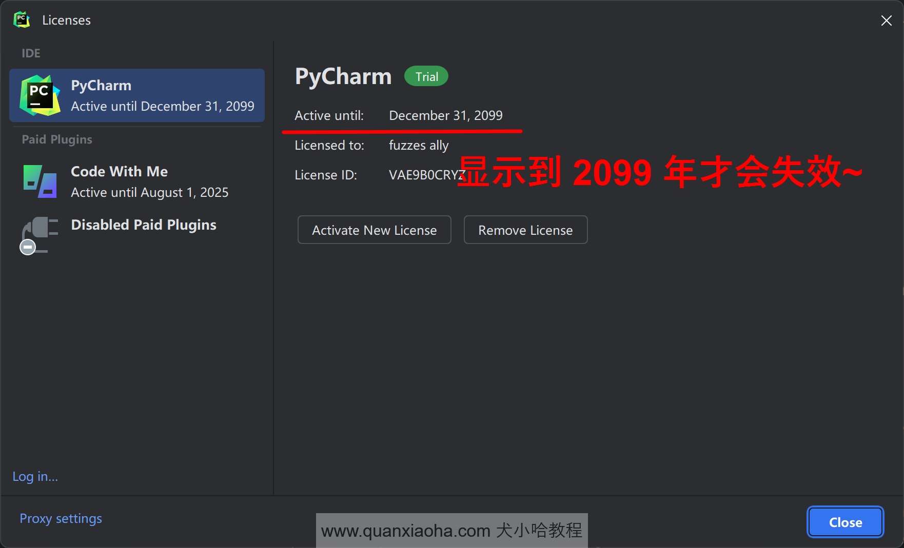 Pycharm  2024.1.4 已经成功激活到 2099 年