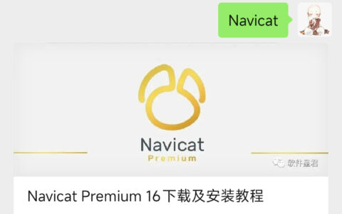 Navicat Premium 16.2.7激活(Navicat Premium 16中文版软件下载安装及注册激活教程)